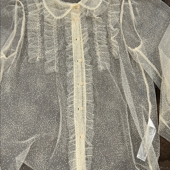 Zara Sheer Cream Blouse with Polka Dots - Picture 7 of 10